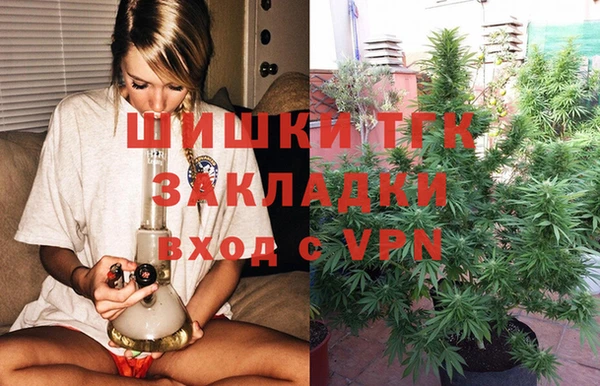 ГАЛЛЮЦИНОГЕННЫЕ ГРИБЫ Покров