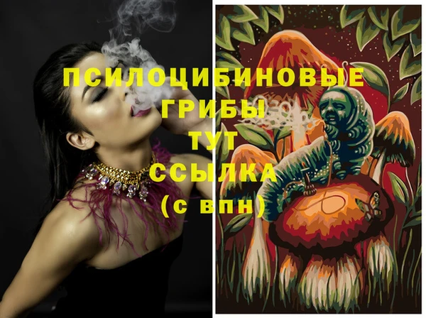 дмт Алзамай